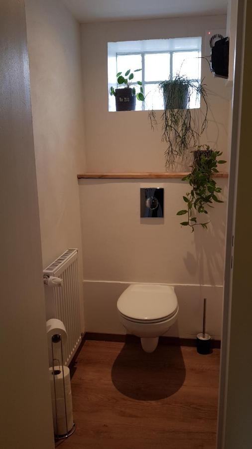Gite See You Soon - Maisonnette Green Lodge Ribeauvillé Esterno foto