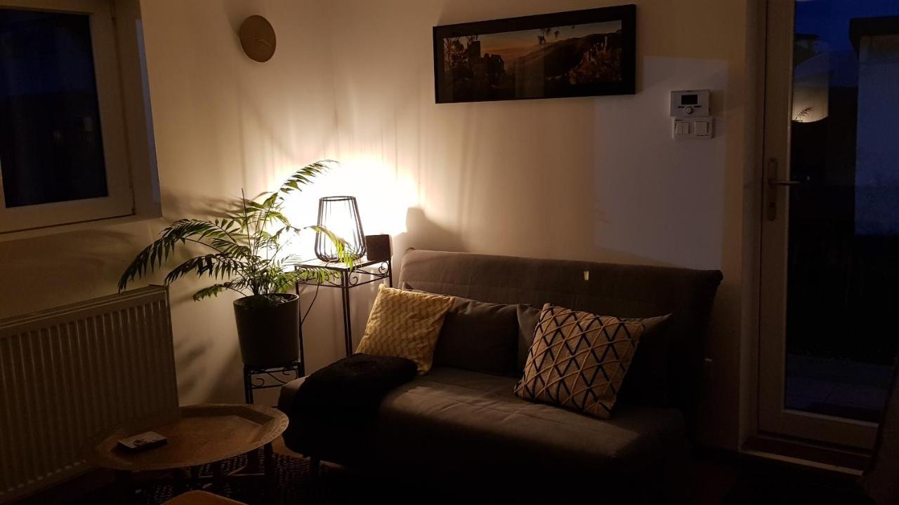 Gite See You Soon - Maisonnette Green Lodge Ribeauvillé Esterno foto