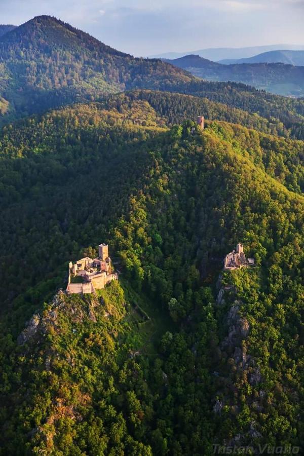Gite See You Soon - Maisonnette Green Lodge Ribeauvillé Esterno foto